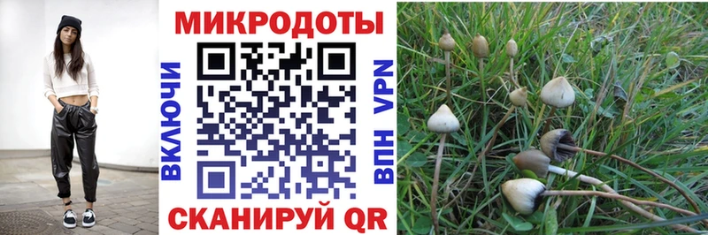 Псилоцибиновые грибы прущие грибы  Купить где  Пермь 